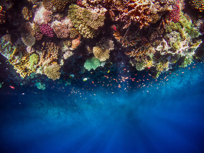 Deep Sea Mining, la ricchezza mineraria degli abissi