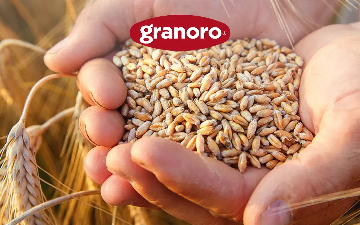 Granoro integra filiera, packaging e obiettivi ESG in un’unica strategia di sostenibilità