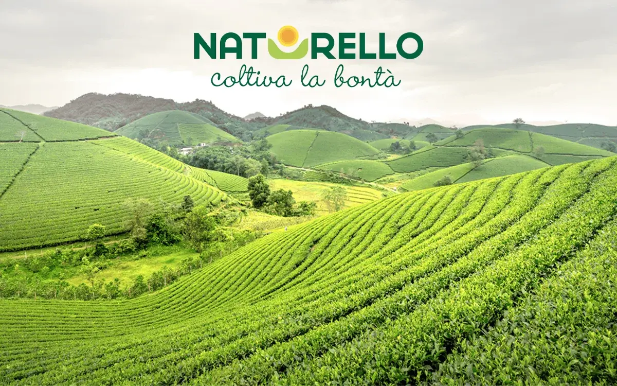 Dal pesto alla decarbonizzazione: la strategia ESG integrata di Naturello
