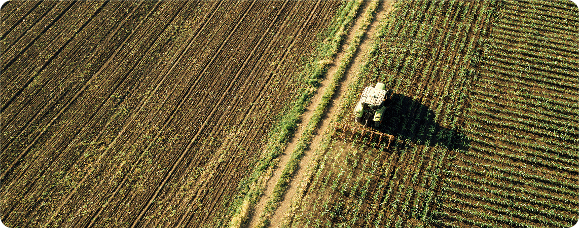 Settore - Agroalimentare
