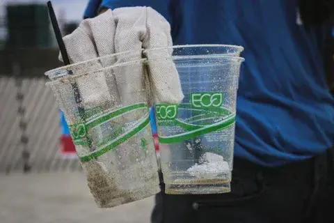 Cosa devi sapere sulle bioplastiche