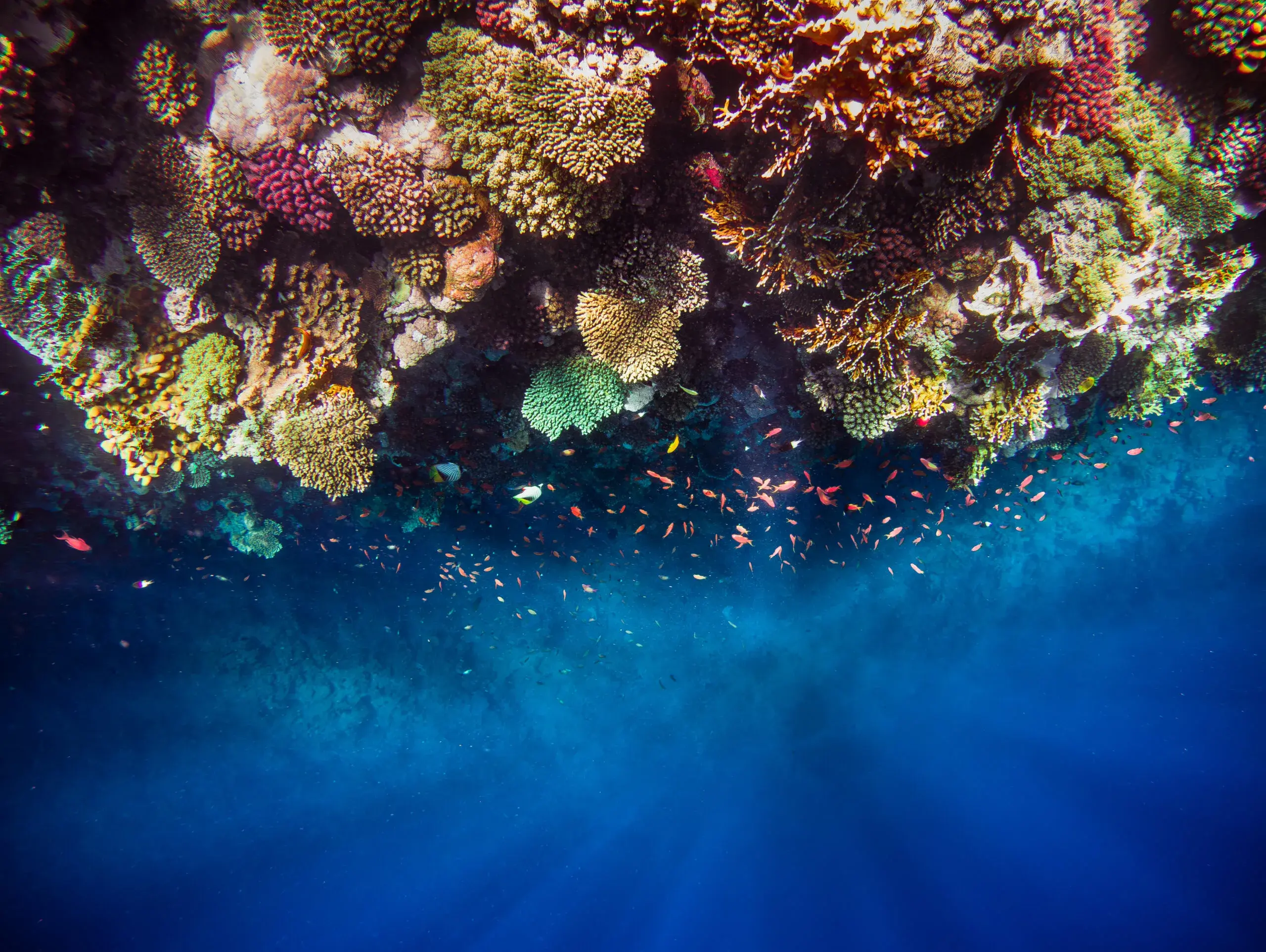 Deep Sea Mining, la ricchezza mineraria degli abissi