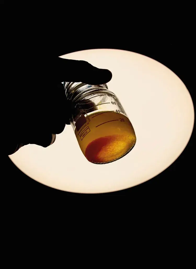 Fermentazione e sostenibilità