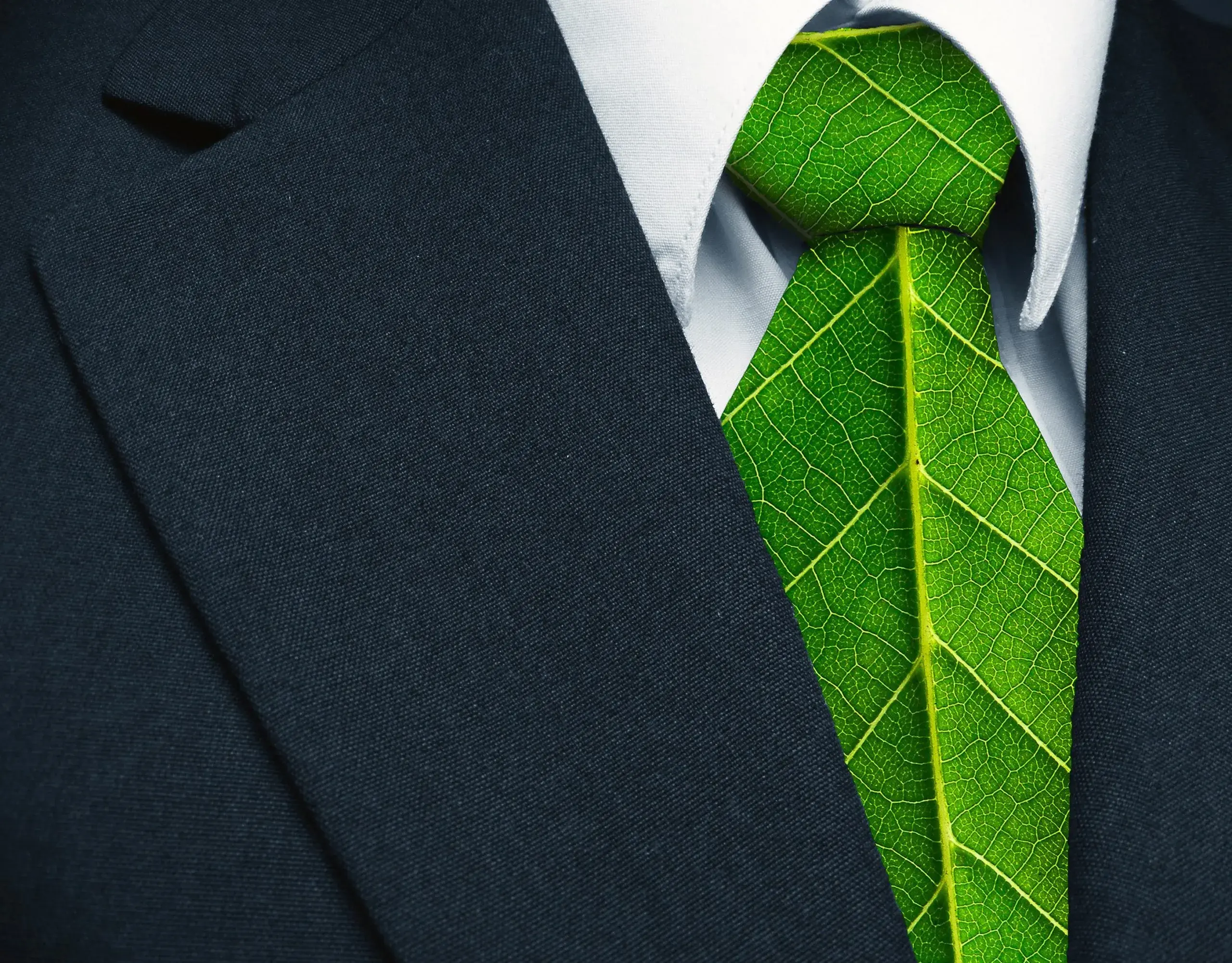 Green jobs: buoni per te, buoni per l'ambiente e buoni per l'economia