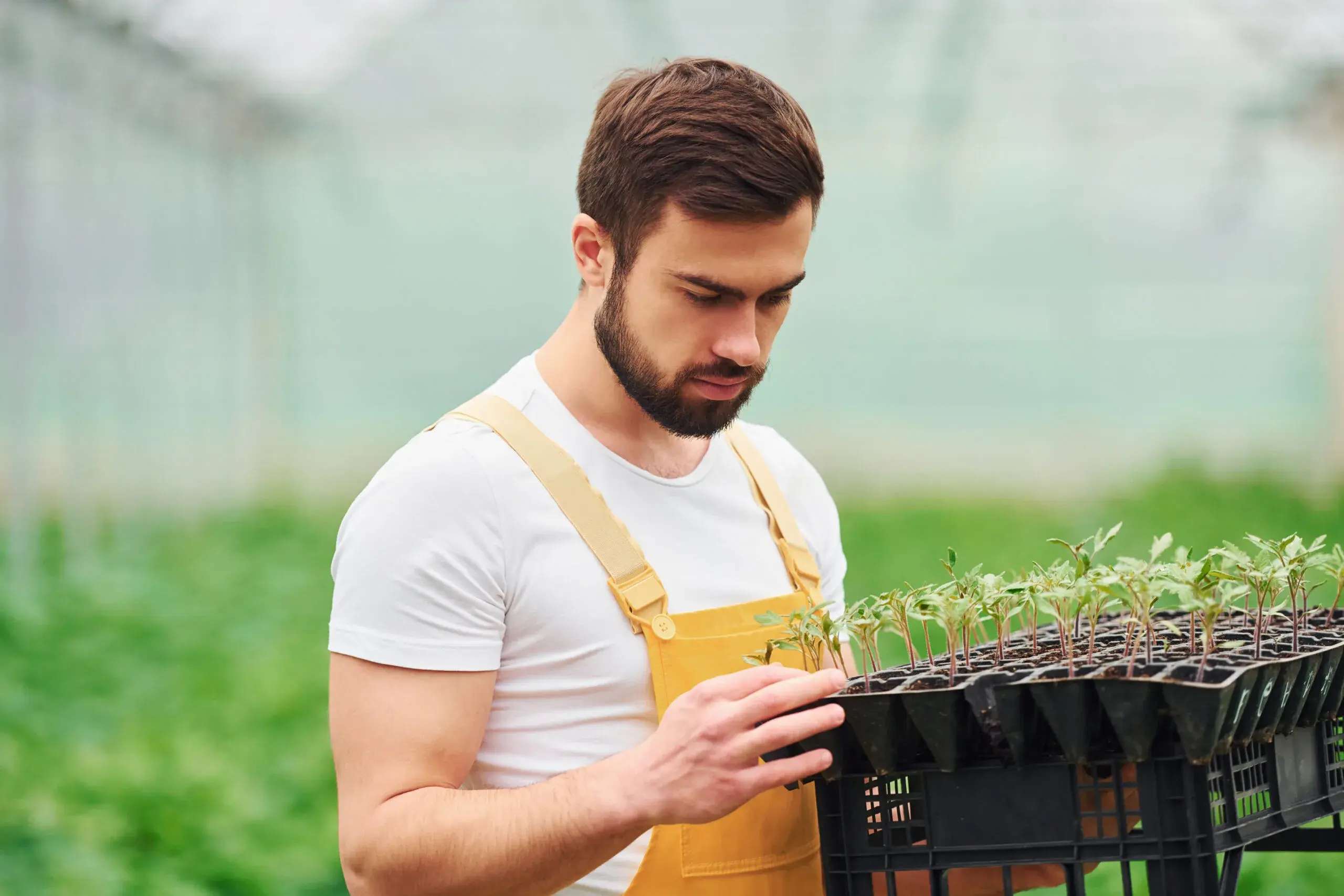 Green Jobs: quali sono i gap da colmare