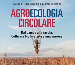 Libro del mese - Luglio 2021