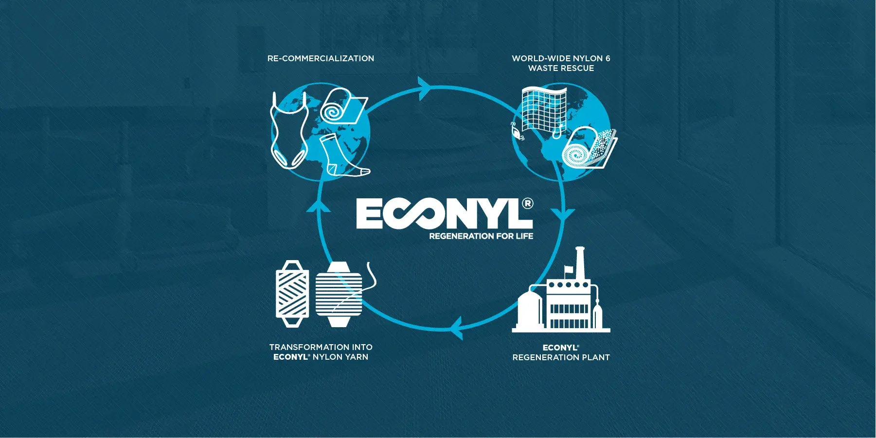 Oceani ed economia circolare: come la circolarità migliora la salute dei nostri mari