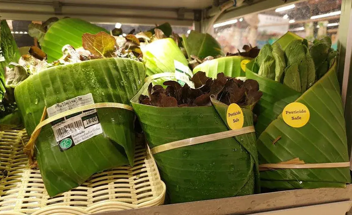 Packaging ecosostenibile da scarti organici