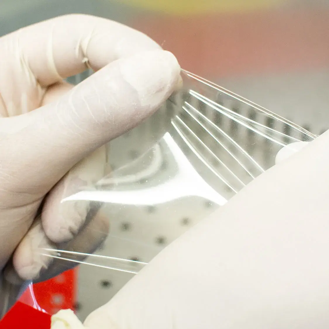 Packtin: packaging commestibile