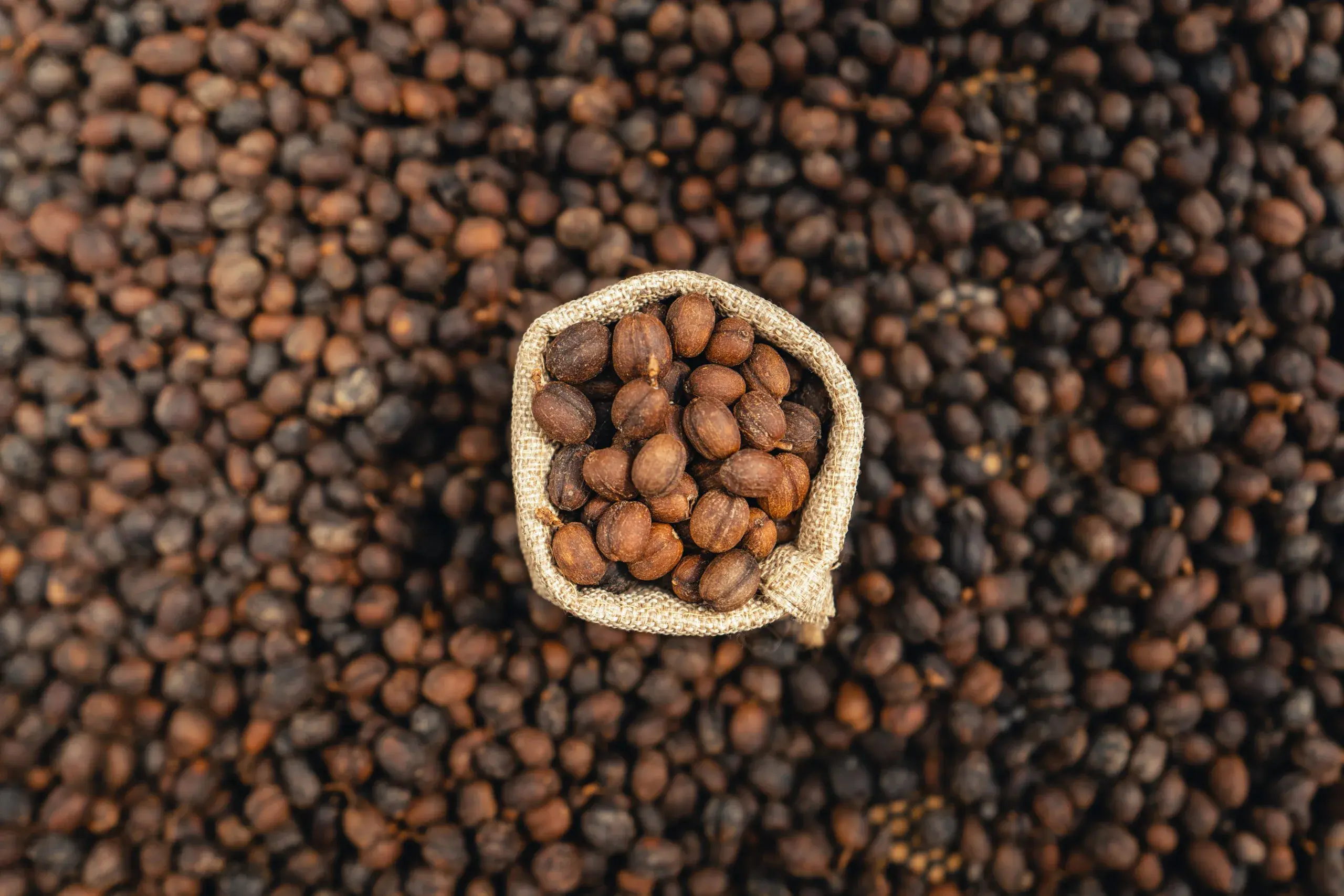 Silverskin: tutti i modi per valorizzare la pellicina del caffè