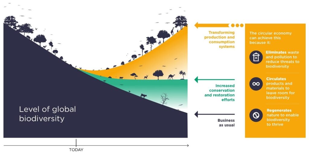 biodiversità circularity.com