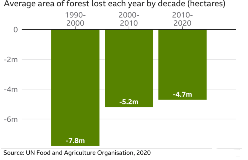 ettari di foresta persi ogni anno