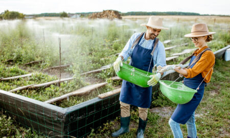 regenerative agricolture