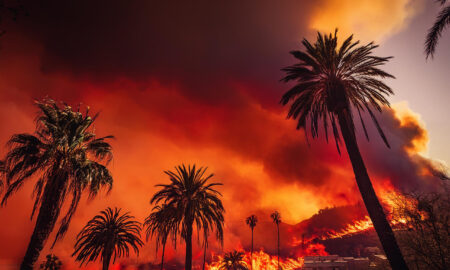 California wildfires